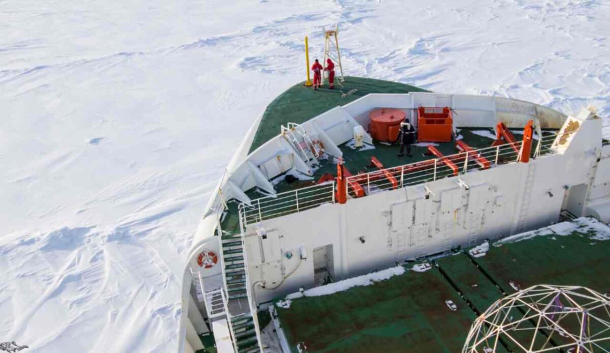 Via artica verso l’Europa: la Cina accelera l’export con una rotta tra i ghiacci - Illustrazione della prua di una nave (Canva FOTO) - marinecue.it