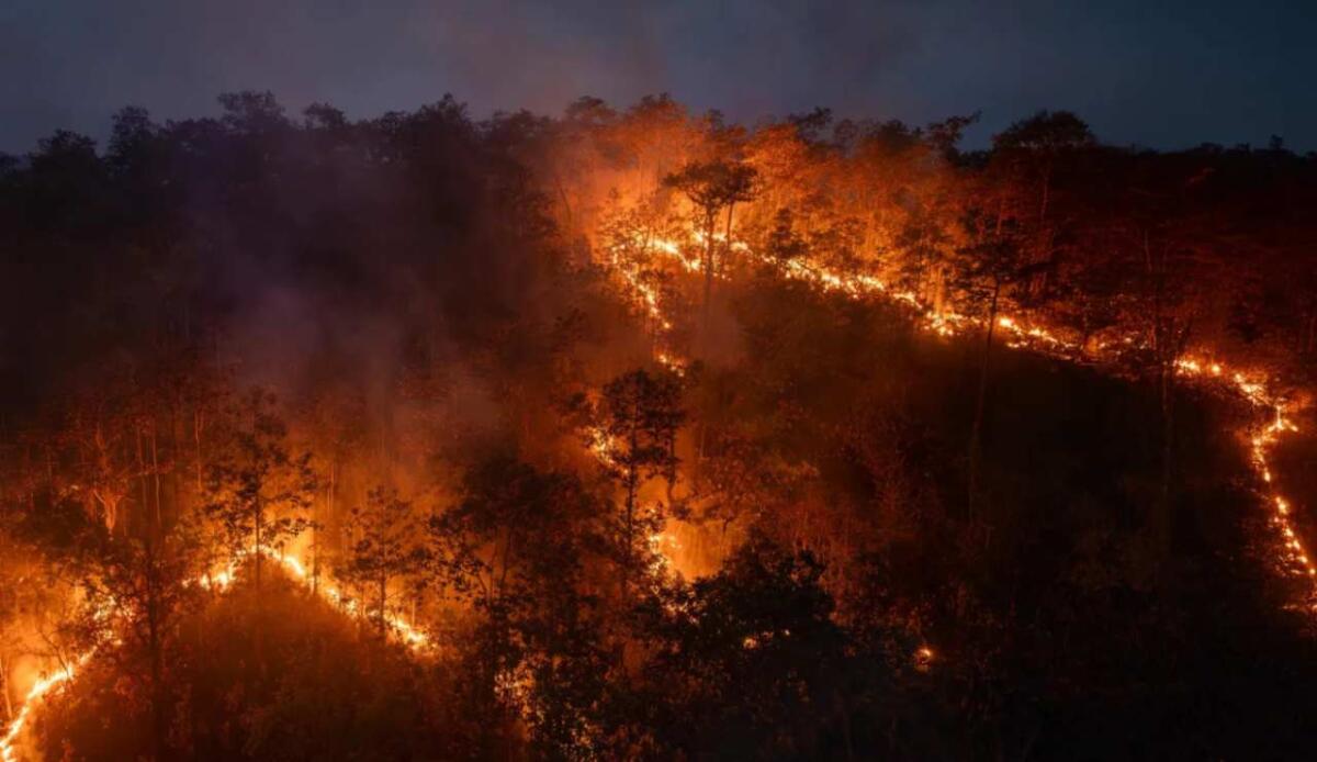 L’Amazzonia brucia come mai prima: 791 milioni di tonnellate di CO₂ in un solo anno, più di un intero paese - Incendio in Amazzonia (ScienceDaily foto) - www.energycue.it