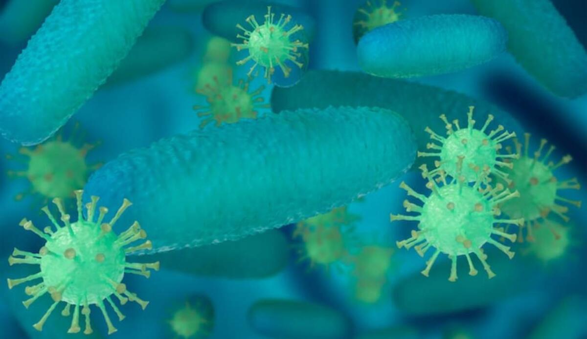 Il microbo più abbondante degli oceani rischia il collasso: colpa del riscaldamento globale - 