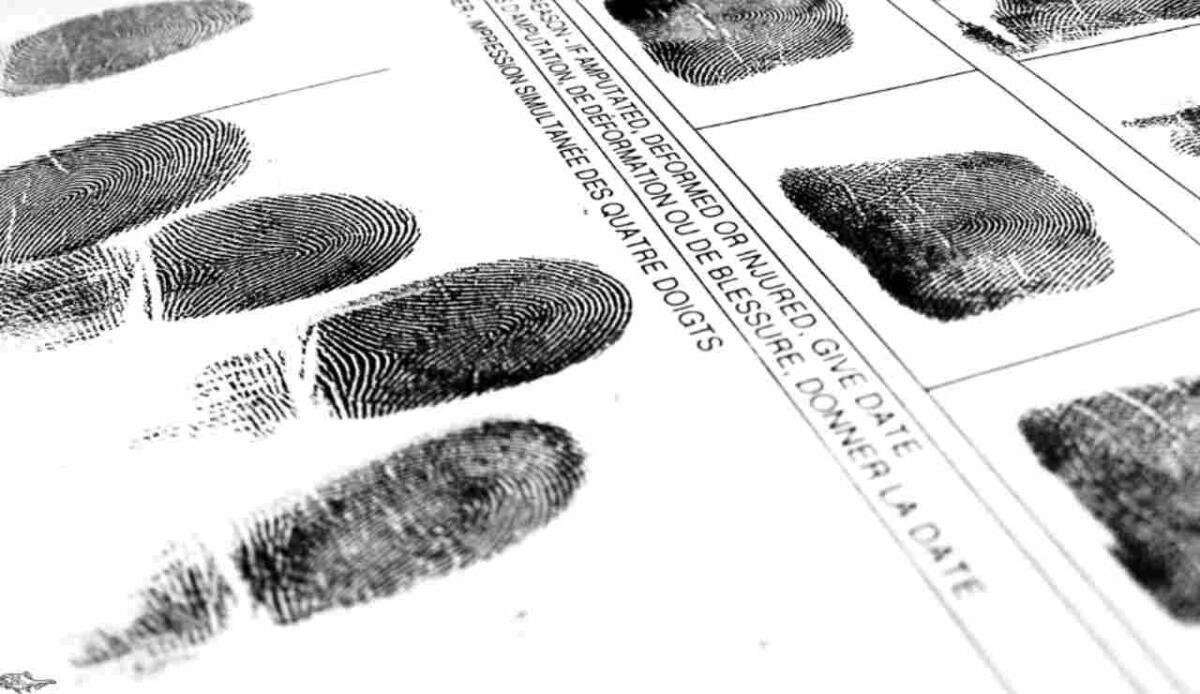 Identificare chi ha caricato l’arma ora è possibile: impronte visibili anche dopo lo sparo - Illustrazione di alcune impronte digitali (Canva FOTO) - sciencecue.it