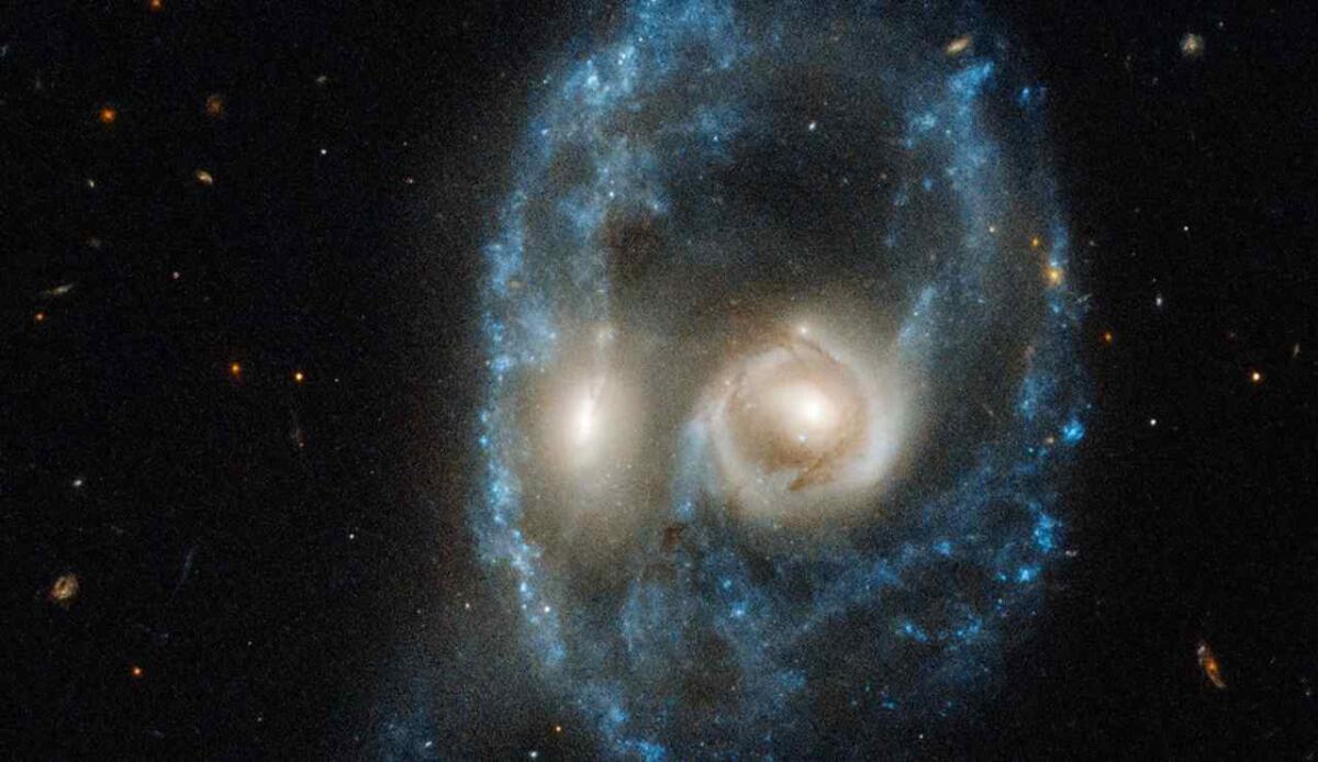 Halloween nello spazio: le immagini più belle firmate NASA - Illustrazione della faccia minacciosa formata dalla coppia di galassie AM 2026-424 (NASA, ESA, and J. Dalcanton, B.F. Williams, and M. Durbin (University of Washington) FOTO) - aerospacecue.it