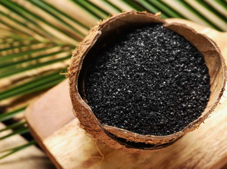 Illustrazione del biochar in un contenitore (Canva FOTO) - energycue.it