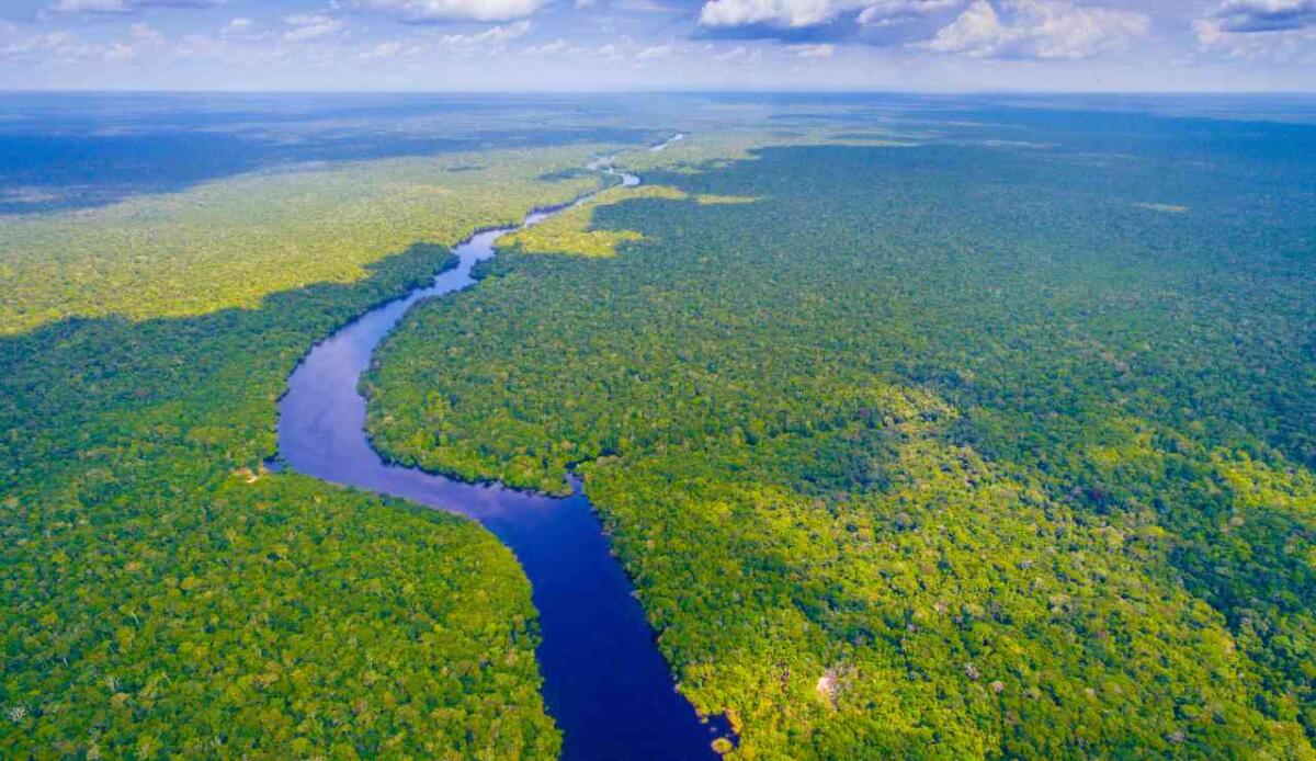 Come la prima strada privata nell'Amazzonia brasiliana aprì una nuova rotta commerciale verso la Cina - 