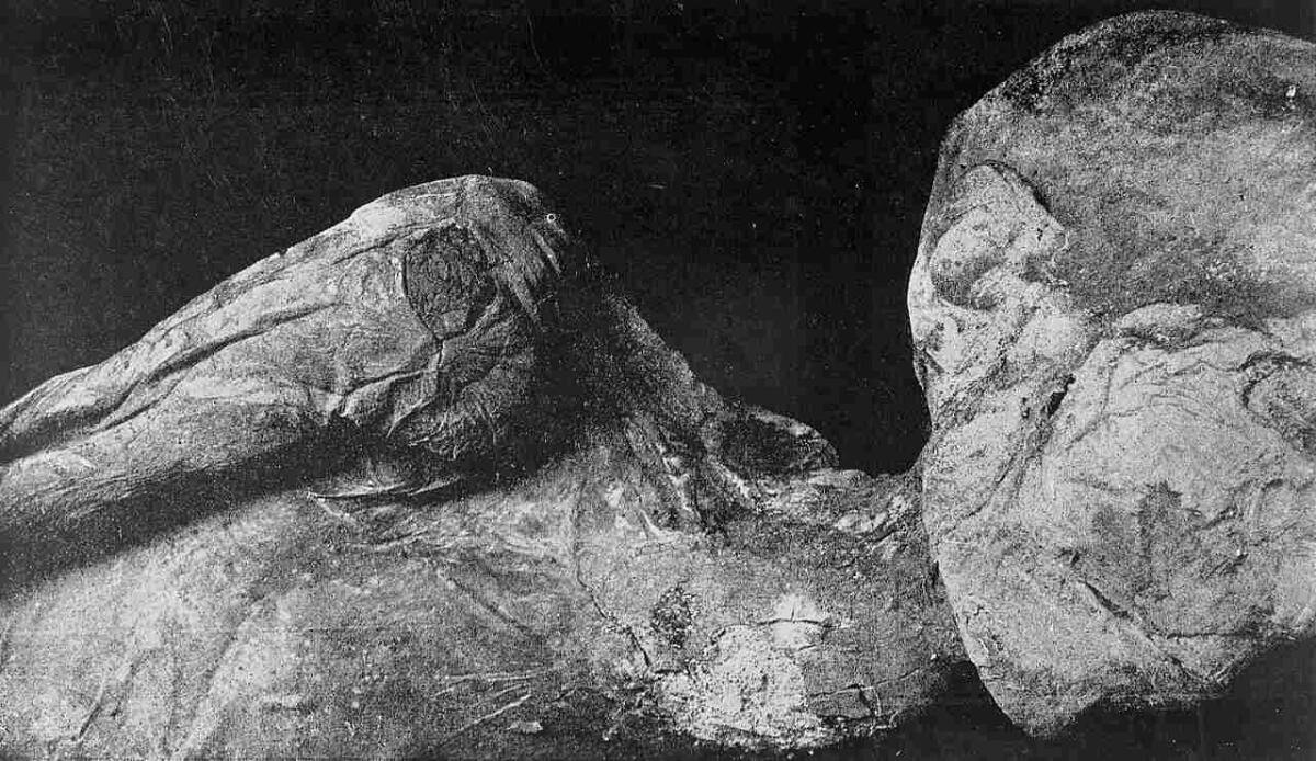 Scoperte mummie di 12.000 anni in Asia: sono i resti più antichi mai trovati - Non finisce di stupire (Warren R. Dawson/commons.wikimedia.org) -www.sciencecue.it