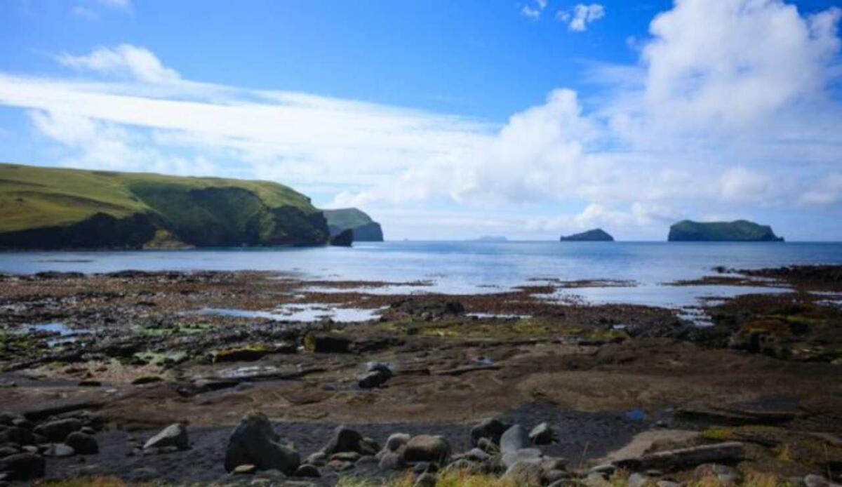 La vita su Surtsey non è arrivata col vento: sono stati gli uccelli a colonizzare l’isola - Isola in Islanda, ecco come è natalavita (Freepik Foto) - www.sciencecue.it
