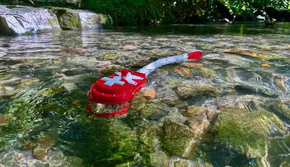 Neuroscienze in acqua: un robot-pesce dimostra che il cervello funziona meglio con il corpo - Neuroscienze acqua, l'esperimento Zbot (medschool.duke.edu) - ScienceCUE