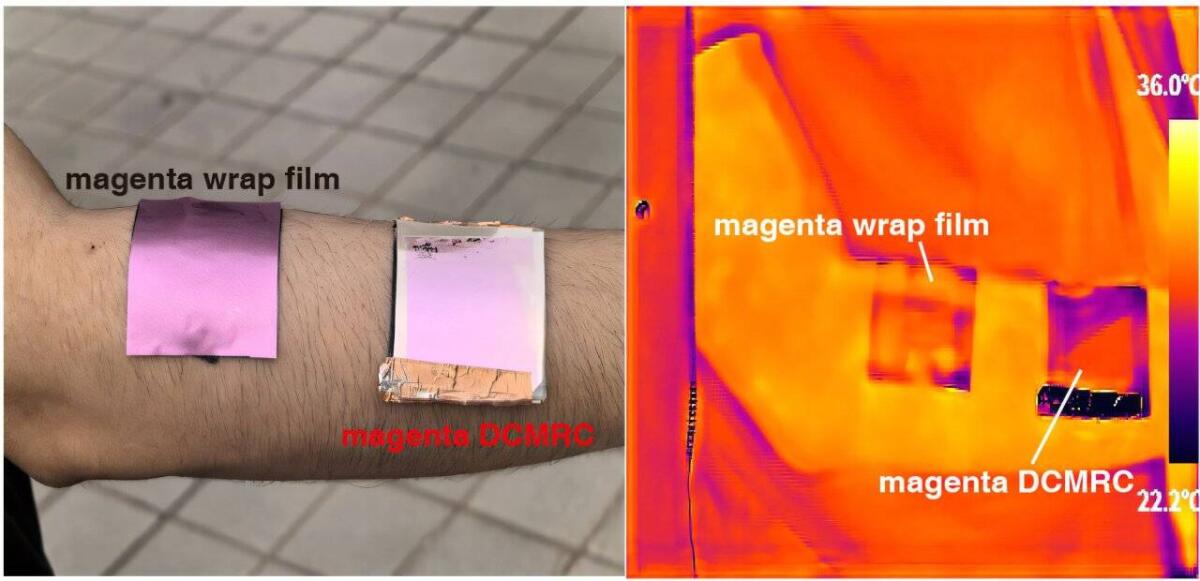 Arrivano i display che cambiano colore e abbassano la temperatura - Un display elettronico flessibile magenta (quadrato a destra) raffredda il braccio di una persona meglio della pellicola commerciale con una tonalità simile (quadrato a sinistra). Crediti: adattato da ACS Energy Letters 2025, DOI: 10.1021/acsenergyle