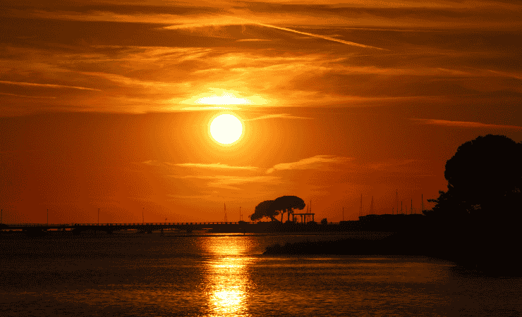 Laguna di Grado (Canva) - marinecue.it