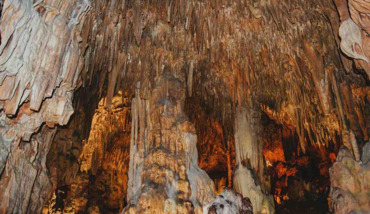 Dalle caverne venezuelane alle rocce marziane: un nuovo paradigma per lo studio di ambienti estremi - 