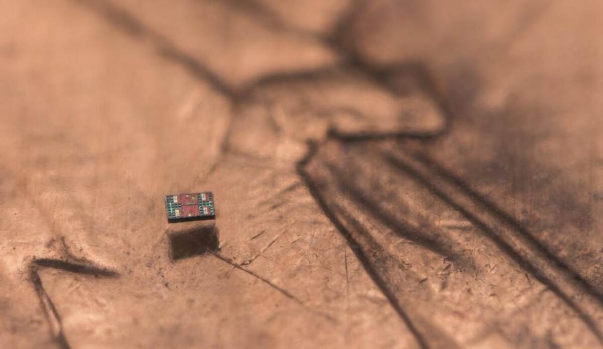 Questi sono i robot autonomi più piccoli al mondo - 