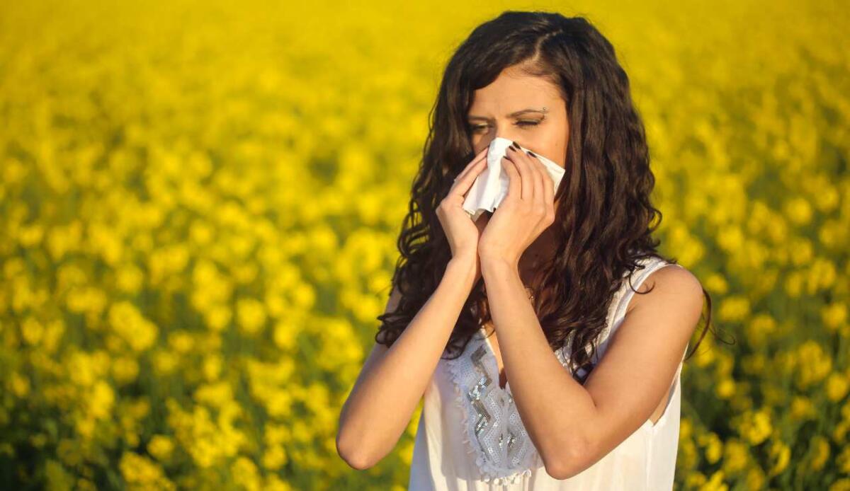 Allergie: un nuovo approccio immunoterapico con i nanoalgosomi derivati da microalghe marine - 