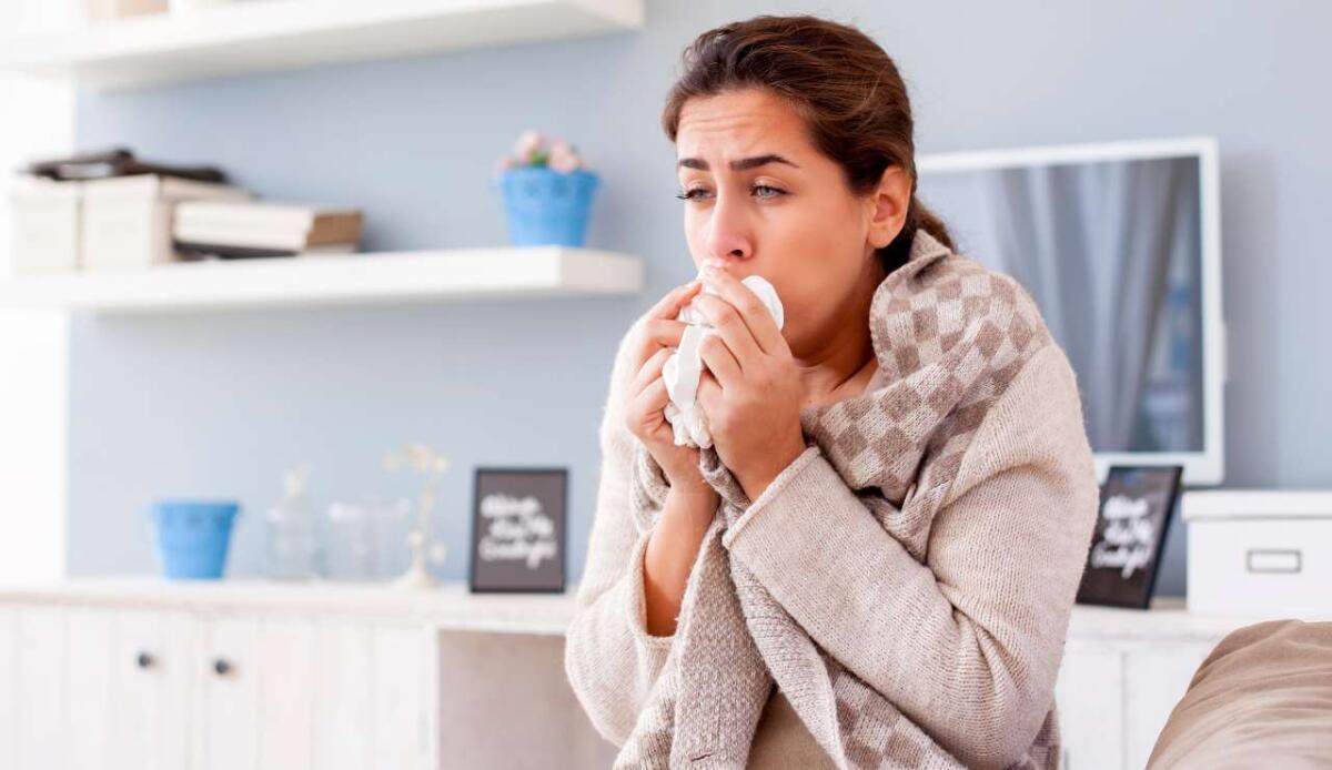 Pandemia di aviaria: dove potrebbe nascere un focolaio e quali condizioni possono farlo diventare crisi globale - 