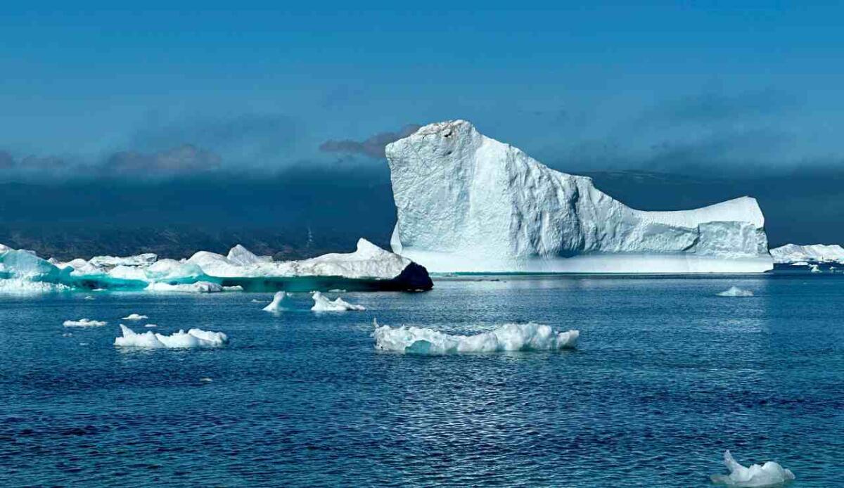 Ecosistemi profondi dell’Artico: scoperta una colonia di organismi che vive nel Mare della Groenlandia - 