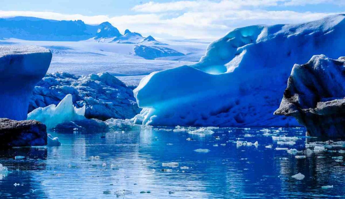 Microplastiche e Belgica antarctica: prima evidenza di ingestione nell’insetto antartico - 
