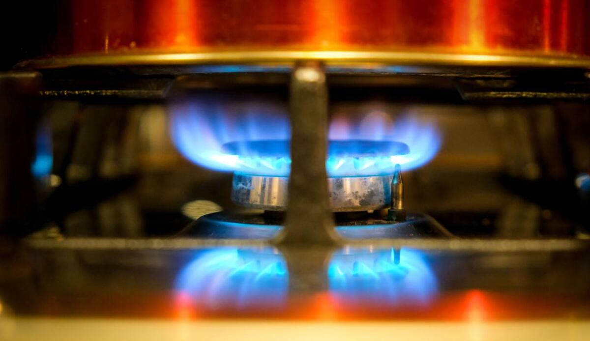 Inquinamento domestico da cucine a gas: impatti sulla salute e scenari energetici per una transizione sostenibile - 