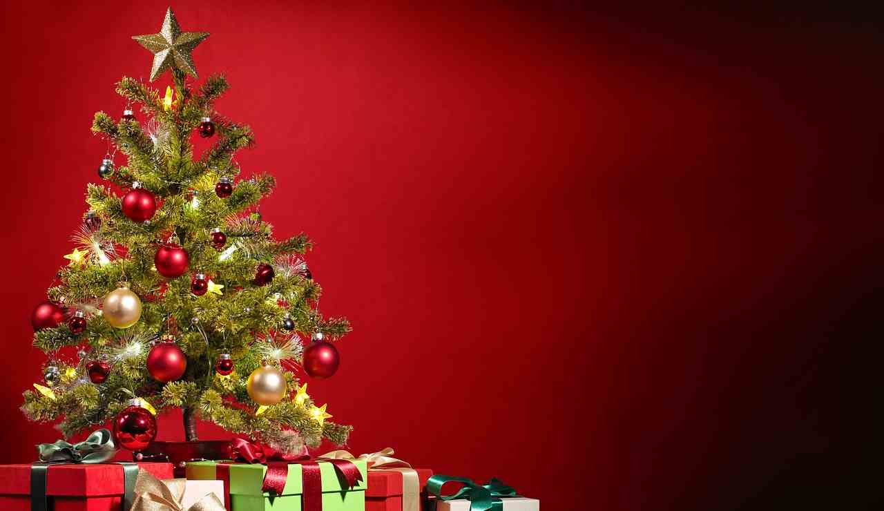 Un albero di Natale (Pixabay FOTO) - www.sciencecue.it