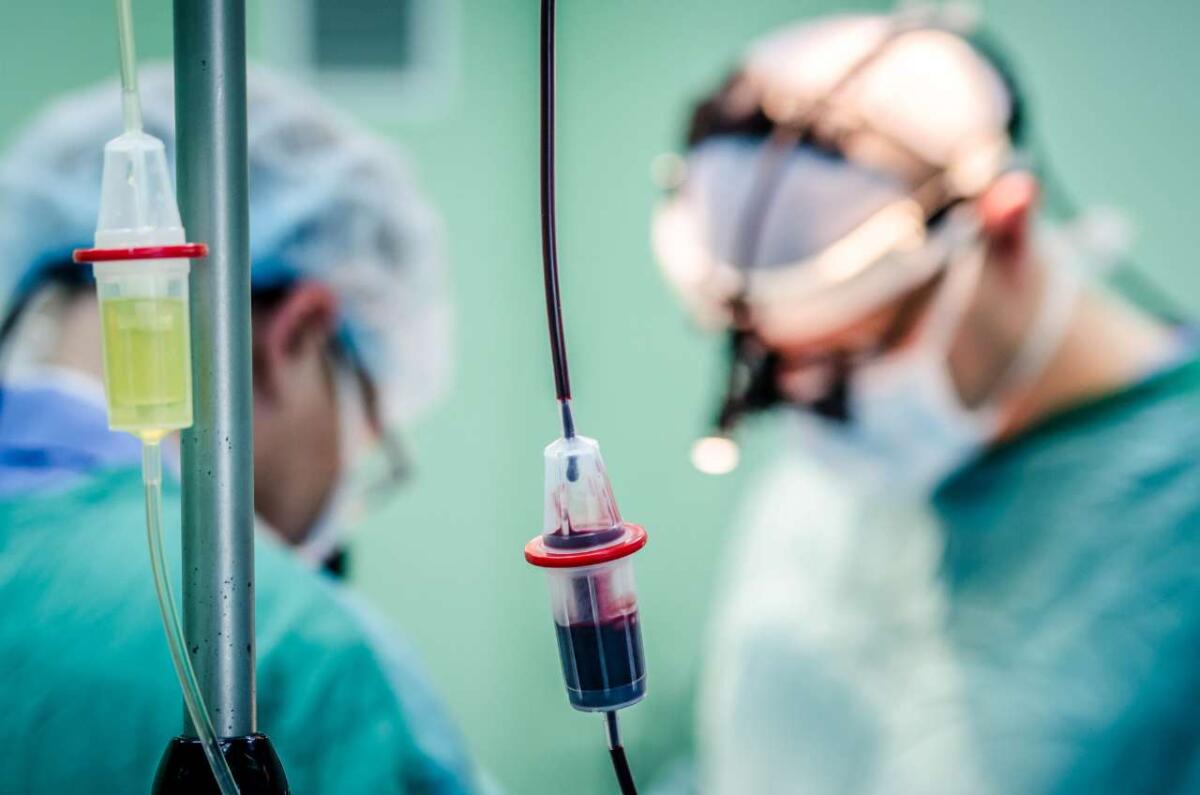 Primo trapianto combinato da vivente in Italia: il padre dona fegato e rene alla figlia di sette anni - 