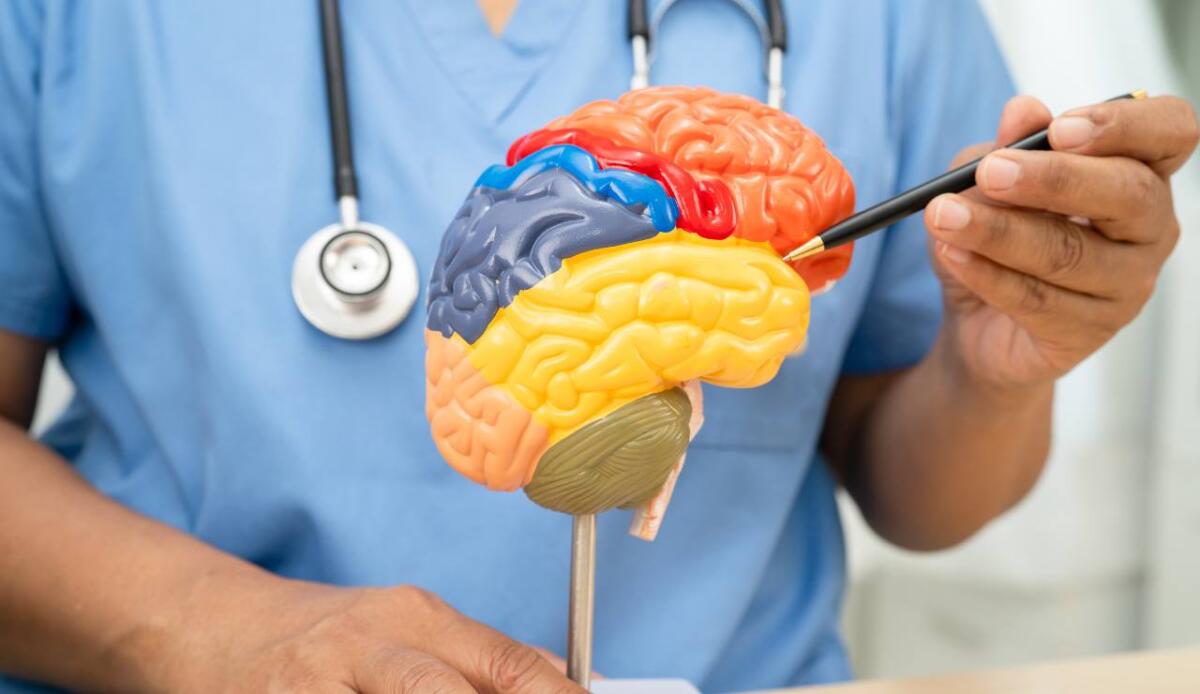 "Super anziani" e Alzheimer: scoperti i geni che proteggono il cervello dopo gli 80 anni - 