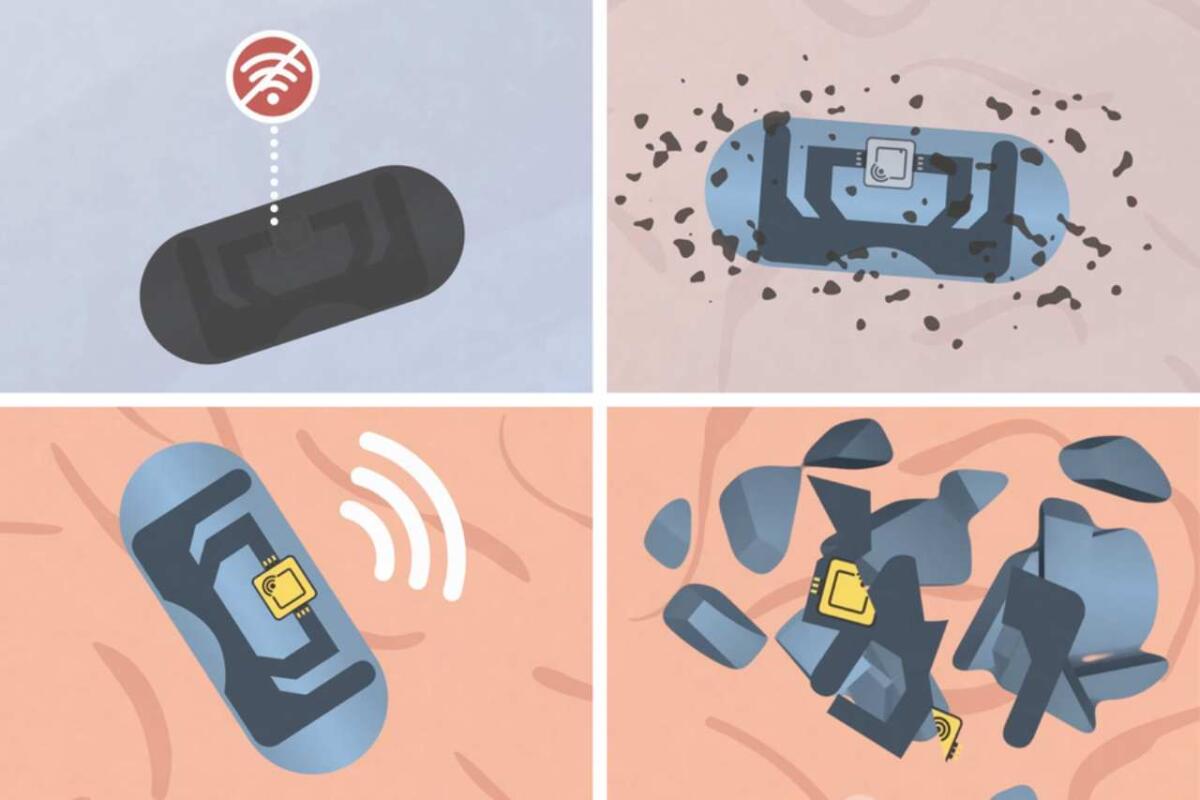 Capsule con antenne biodegradabili: il MIT sviluppa pillole intelligenti che comunicano dall’interno dello stomaco - 