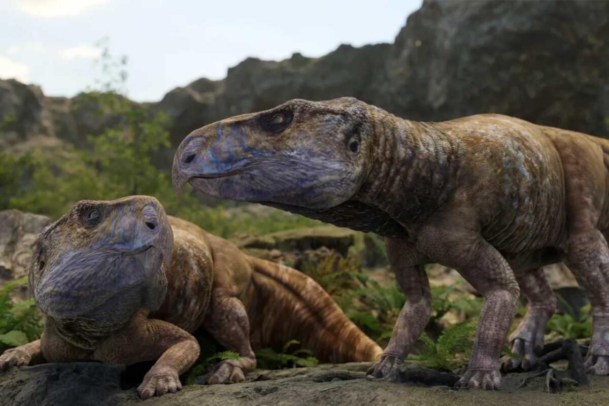 Scoperti in Europa fossili di dinosauri con corna risalenti a 84 milioni di anni fa: la nuova identità di Ajkaceratops - 