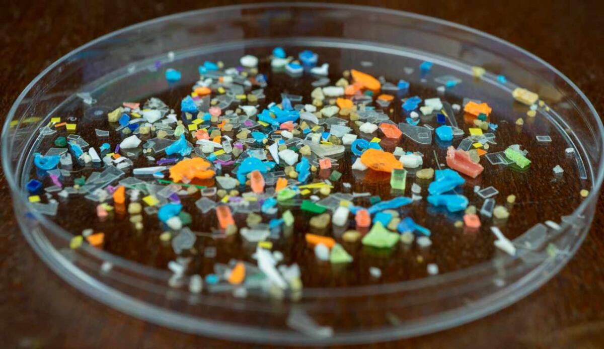 Microplastiche rilevate nel 90% dei tumori alla prostata: evidenze da uno studio clinico su tessuti umani - 