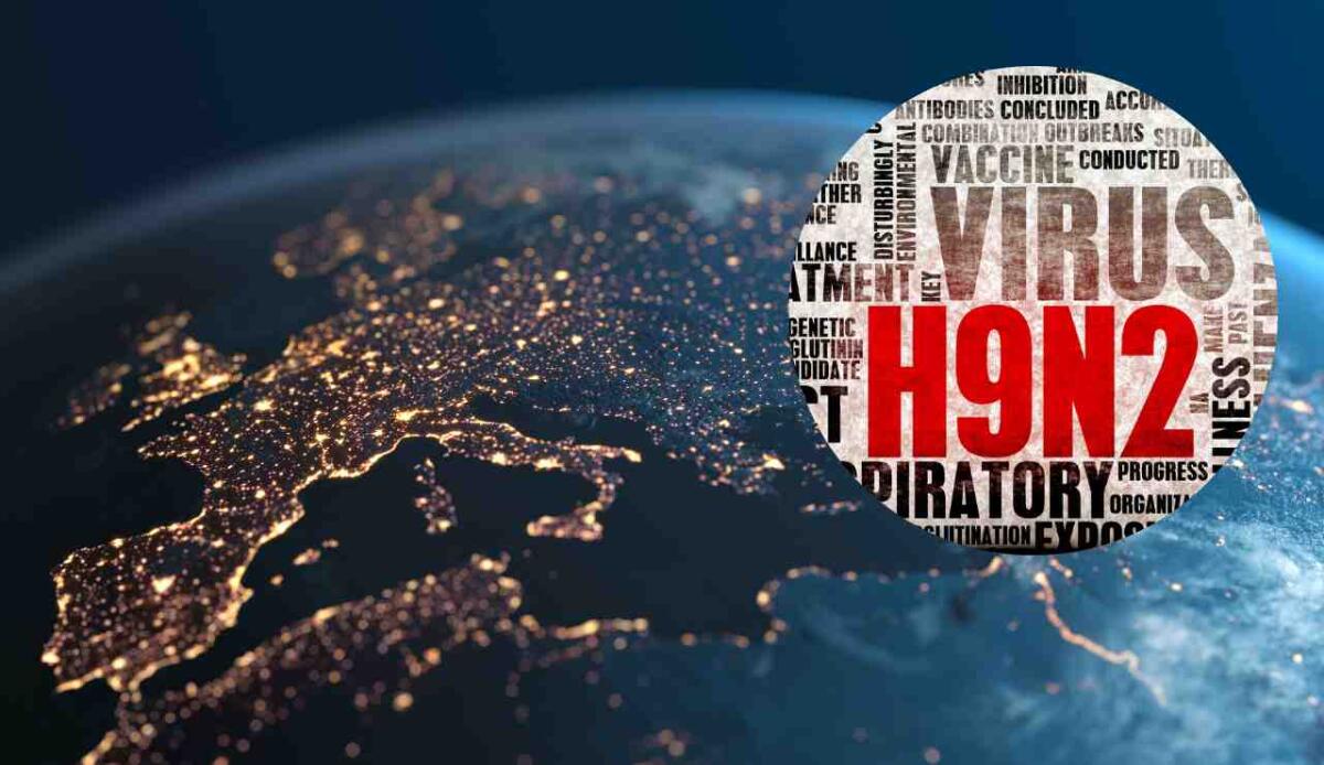 Influenza aviaria H9N2 in Europa: trovato il primo caso umano in Lombardia - 