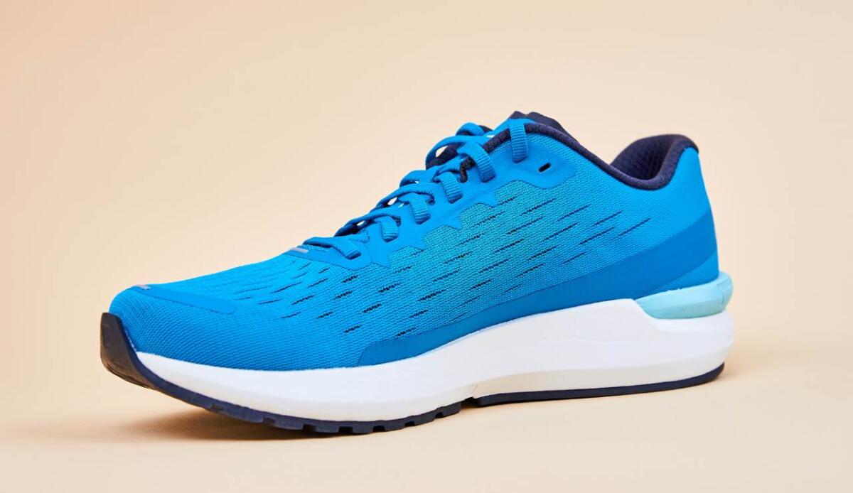 Perché le sneakers fanno rumore sul pavimento? La fisica spiega l’origine dello stridio - 