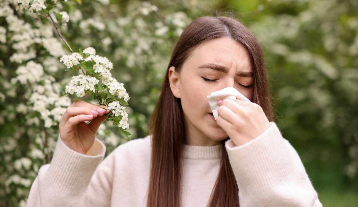 Allergie primaverili: tipologie, cause, sintomi, diagnosi e come curarle - 