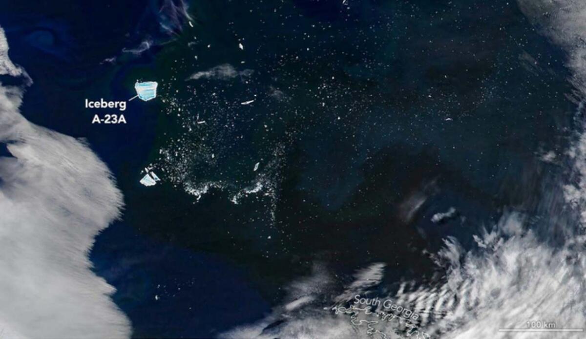 A-23A, il mega-iceberg antartico ha alimentato un'esplosione di fitoplancton nell'Atlantico meridionale - 