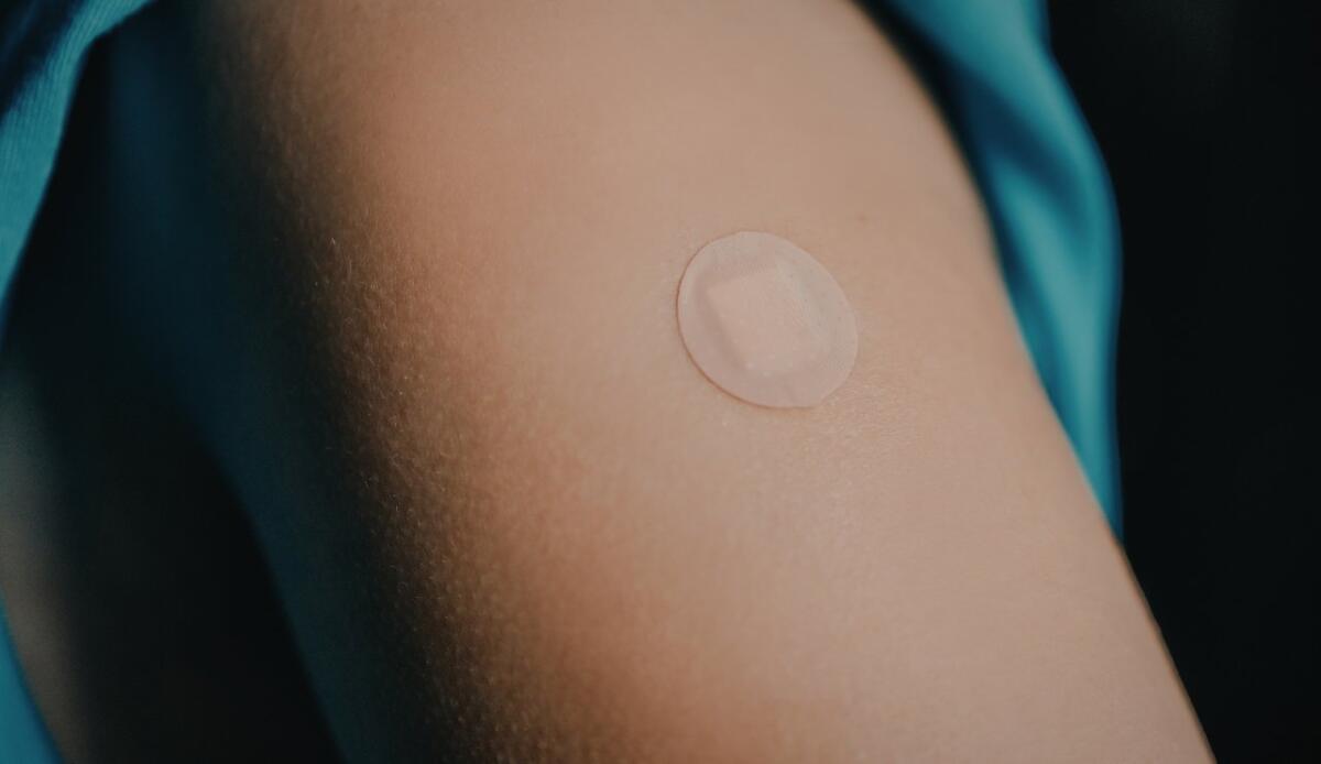 Addio biopsia cutanea: un cerotto a microaghi cattura le cellule immunitarie vive in 30 minuti - 
