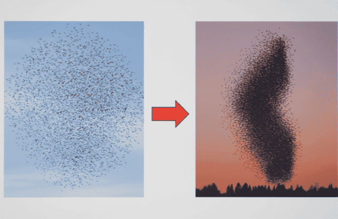 AI e cigni neri: Massimo Buscema e l'arte di vedere l'invisibile