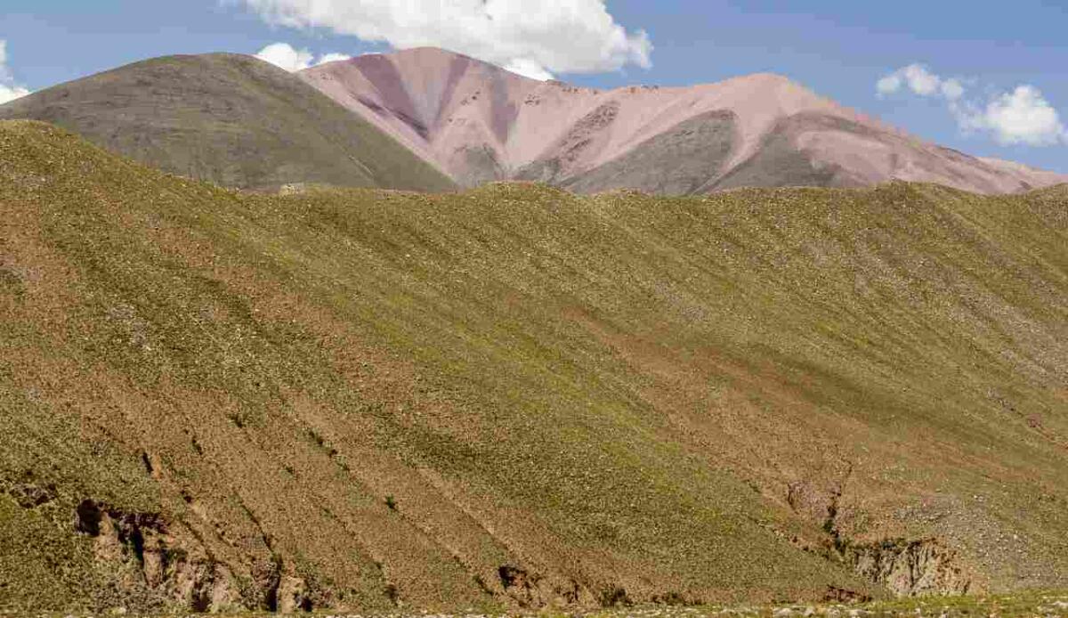 Ossa, DNA e mais: l'archeogenetica ricostruisce 2.000 anni di storia andina - 