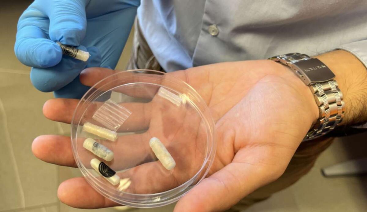 Una capsula ingeribile che si apre come un cerotto sulle ulcere intestinali: il dispositivo dell'Università di Pisa - Crediti: Unipinews