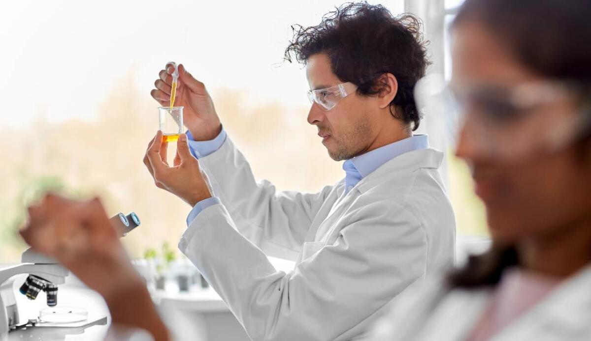 PRIN 2026: il MUR stanzia 260 milioni per la ricerca scientifica italiana - 