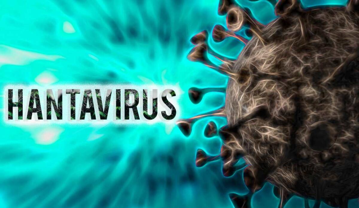 Hantavirus: dal fiume Hantan a una nave da crociera nel mezzo dell'Atlantico - 