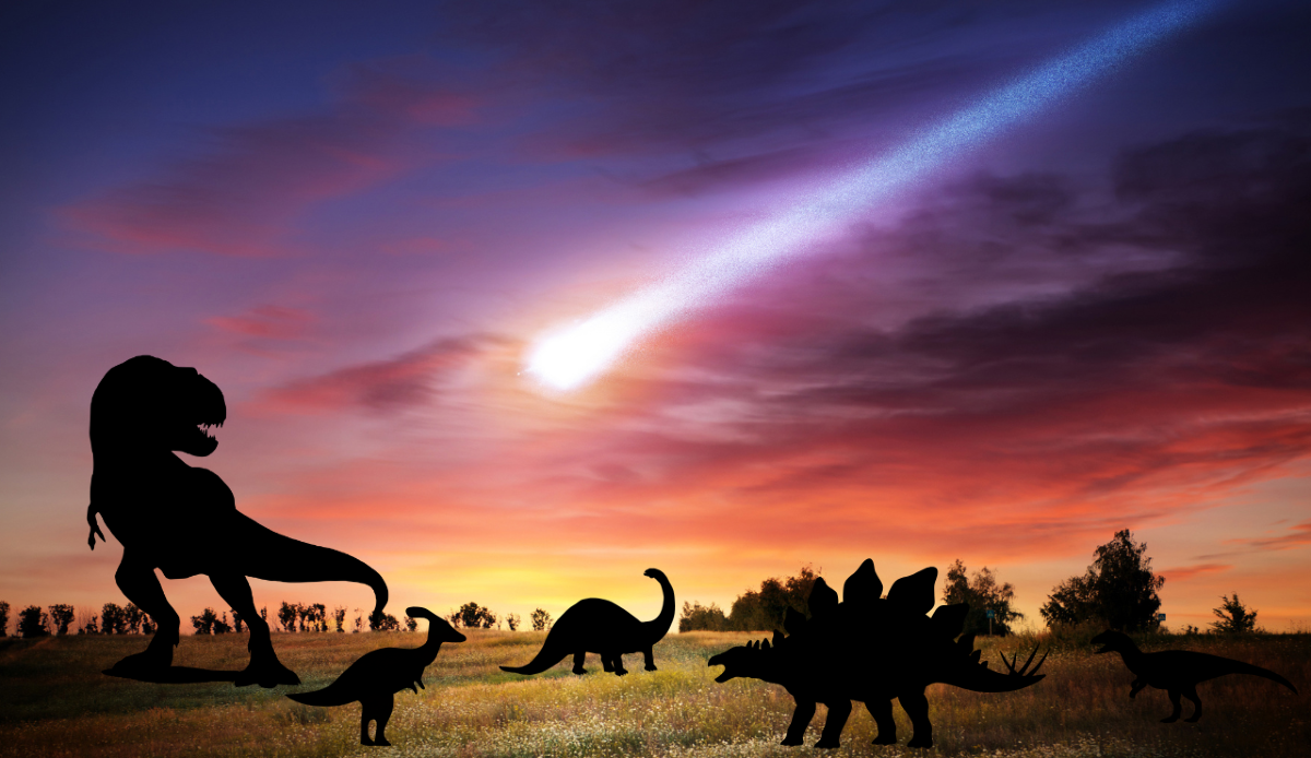 Di che roccia era fatto l'asteroide che ha ucciso i dinosauri? Ora lo sappiamo - Canva