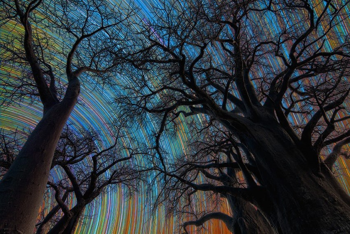 Scie di stelle sui baobab: Stefano Pellegrini vince importante premio di fotografia