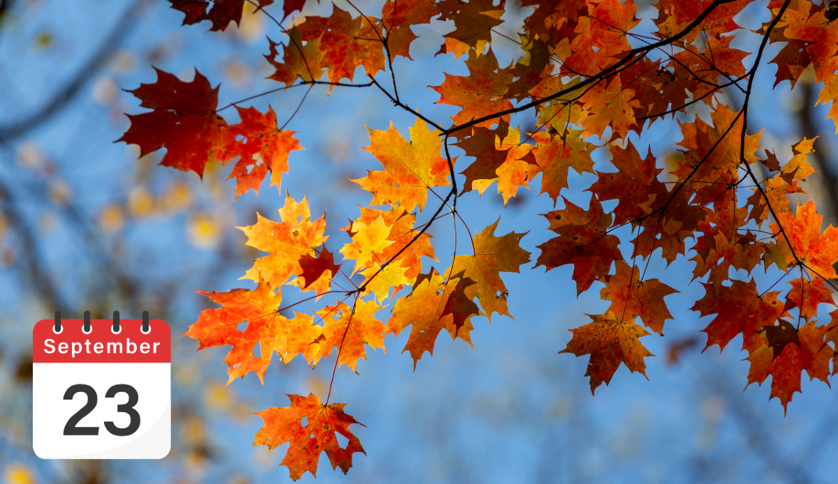 L'autunno è iniziato ufficialmente oggi 23 settembre alle 2.05 - 