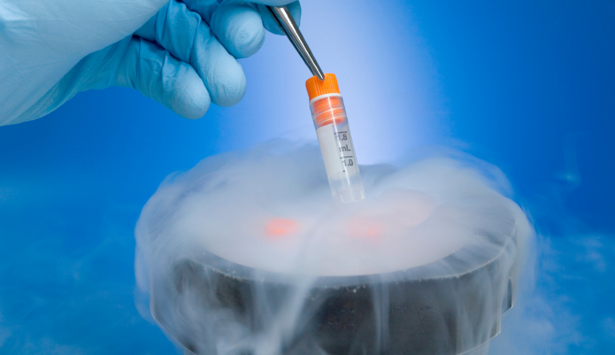 Social freezing: la Toscana dice sì e approva un contributo fino a 3.000 euro - 