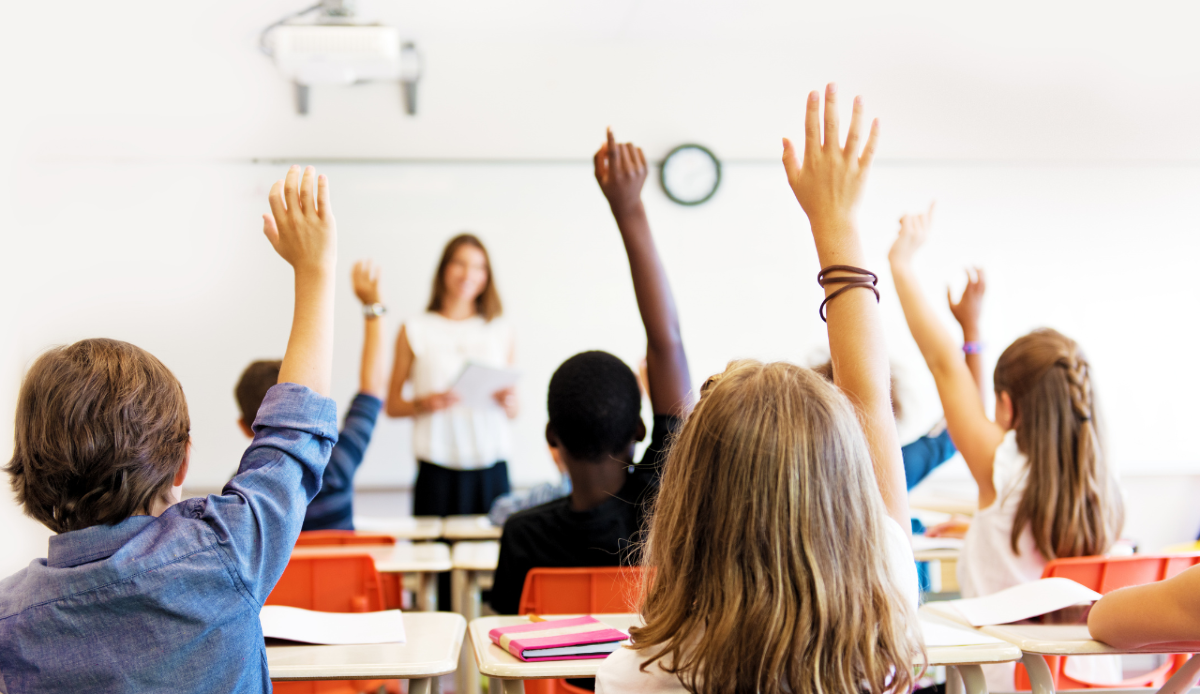 Il Cdm ha approvato il decreto scuola: tetto del 30% e cosa prevede - Canva