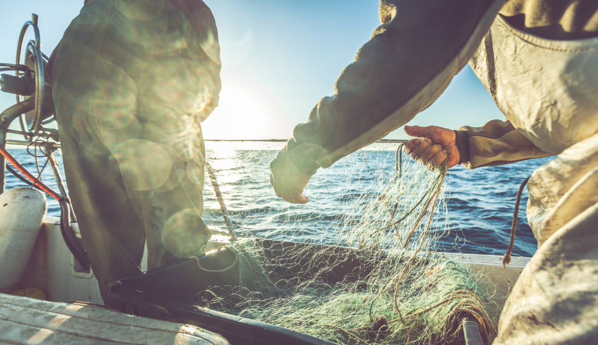 Legge SalvaMare: a quattro anni mancano decreti chiave sui rifiuti pescati - Canva