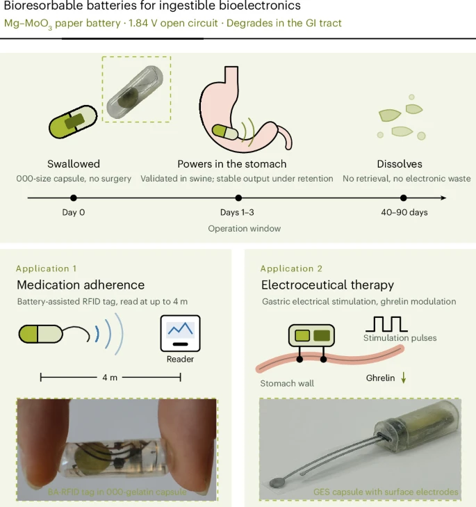 Batteria edibile